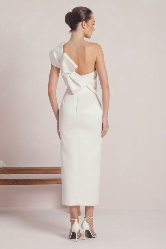 Back View