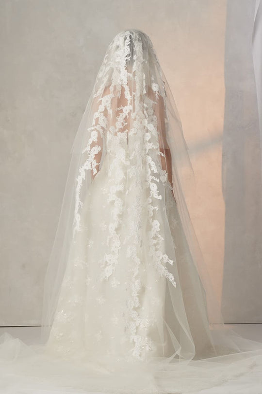 Back View