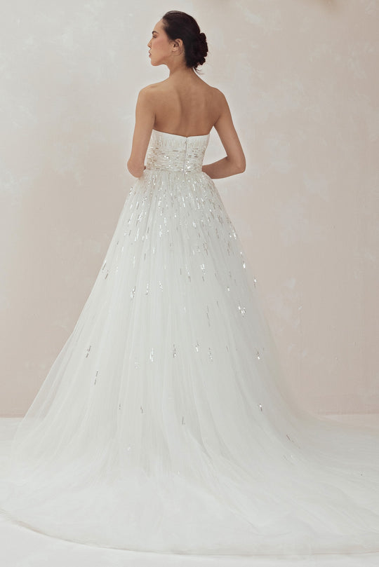 Back View