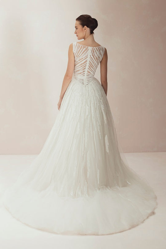 Back View