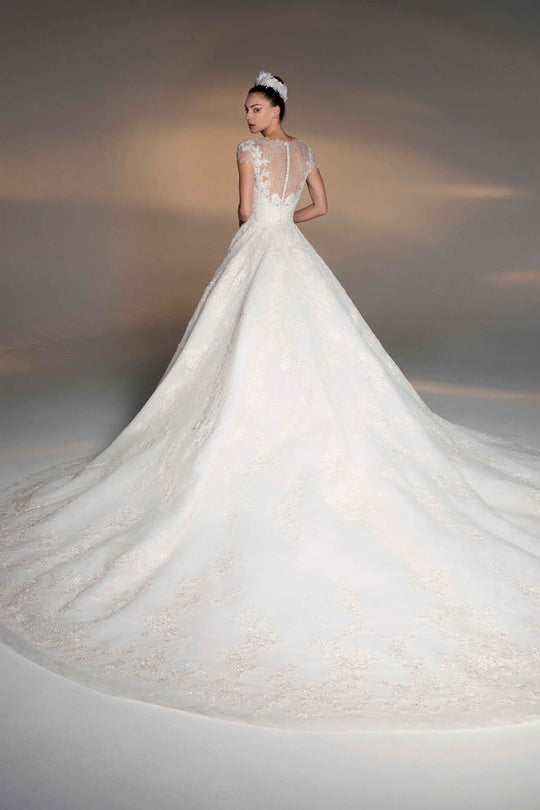 Back View