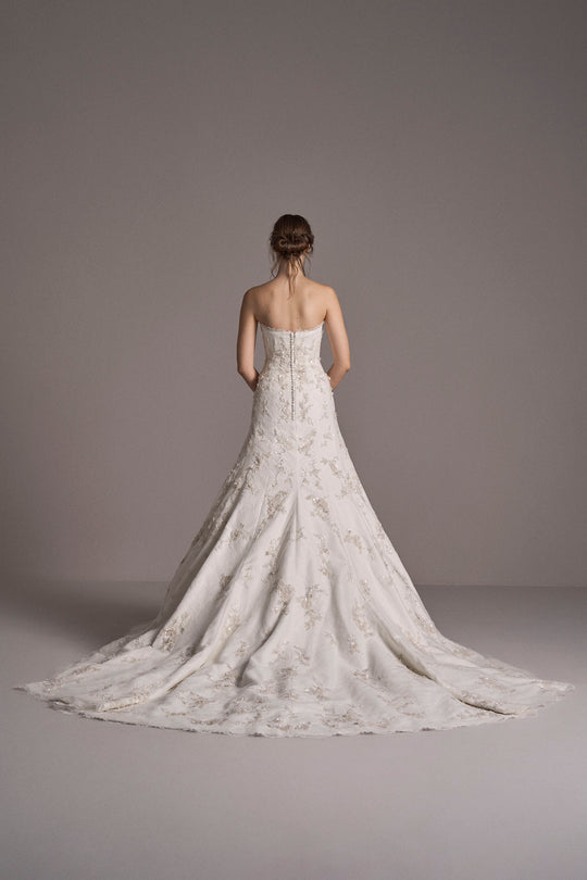 Back View