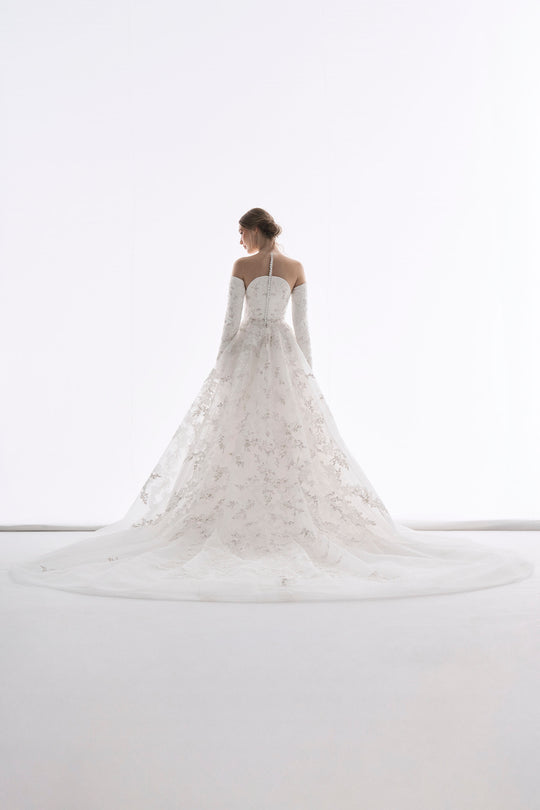 Back View
