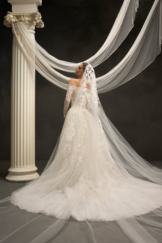 Back View