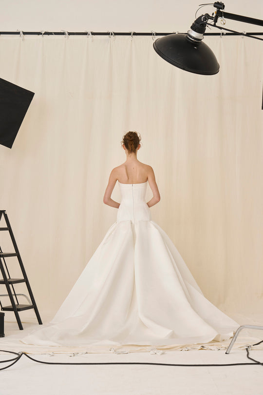 Back View
