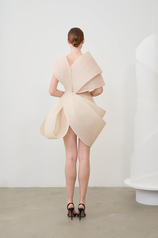 Back View