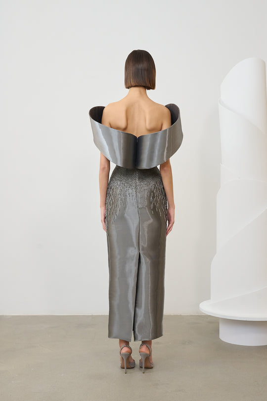 Back View