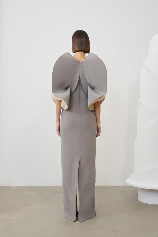 Back View
