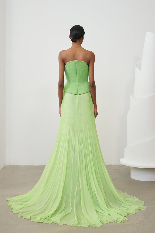Back View
