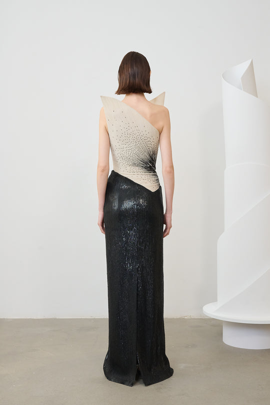 Back View