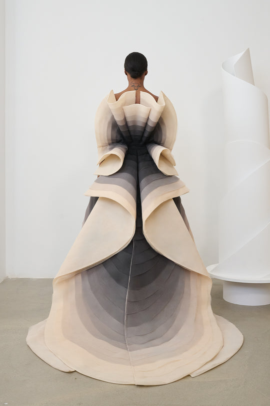 Back View