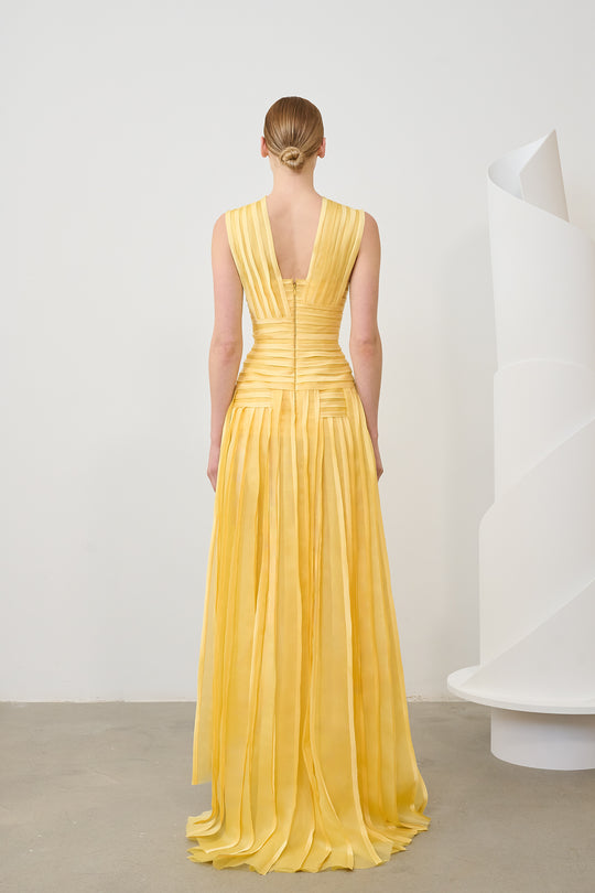 Back View