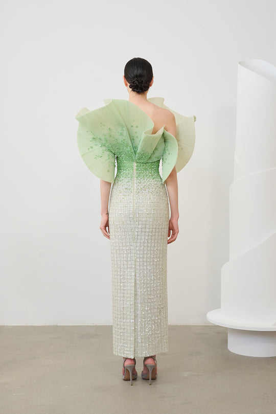 Back View
