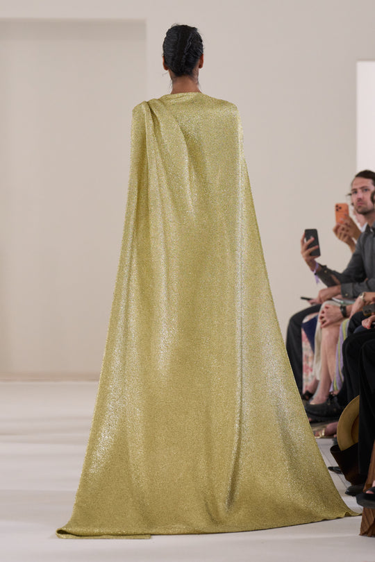 Back View