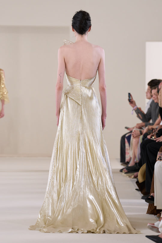 Back View