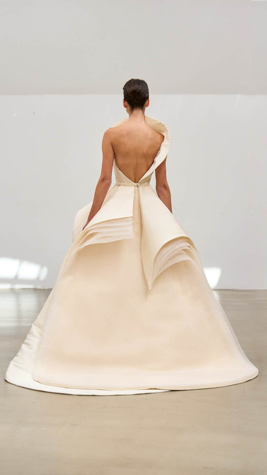 Back View