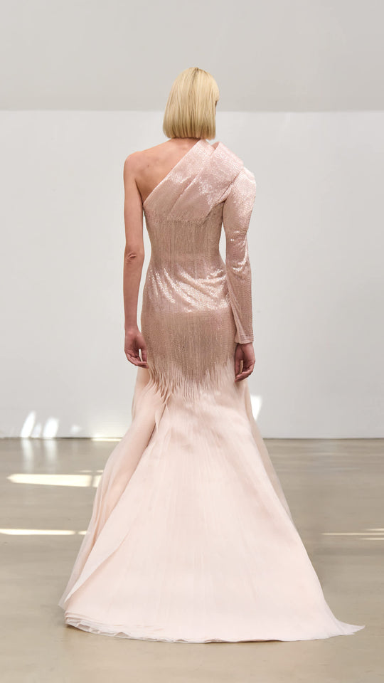 Back View