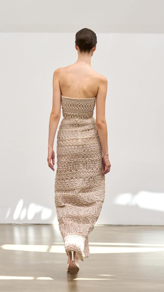 Back View