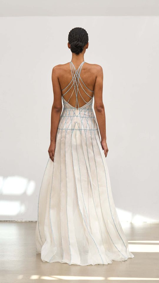 Back View
