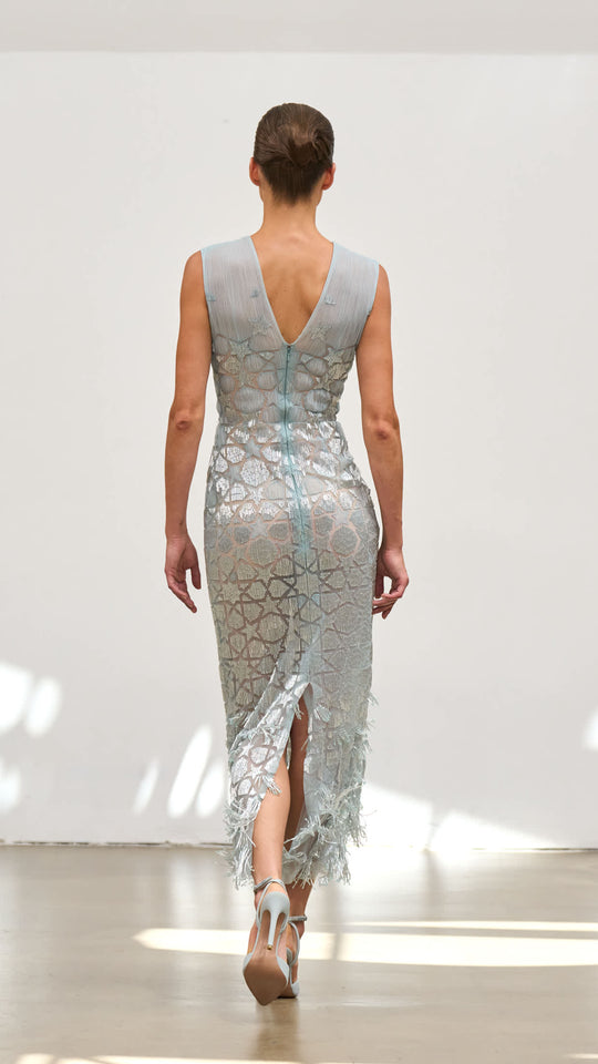 Back View