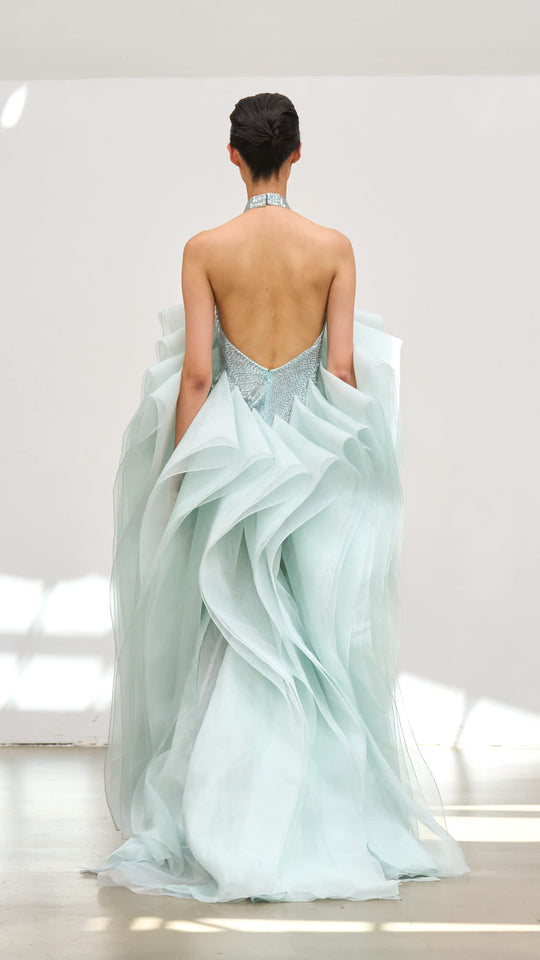 Back View