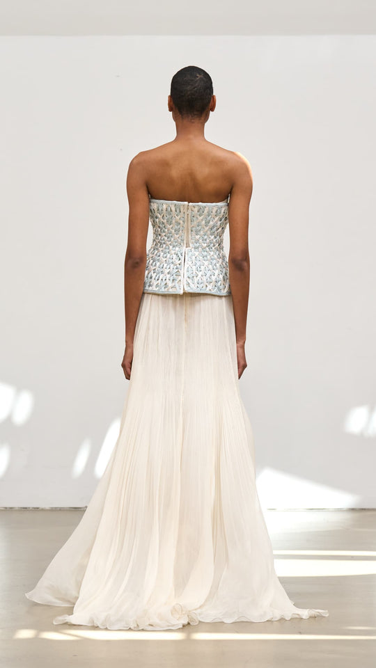 Back View