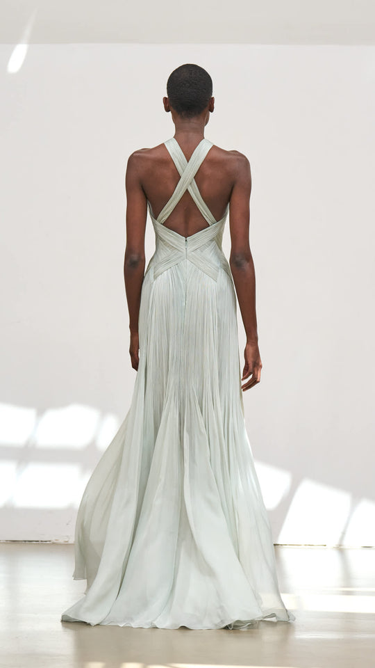 Back View