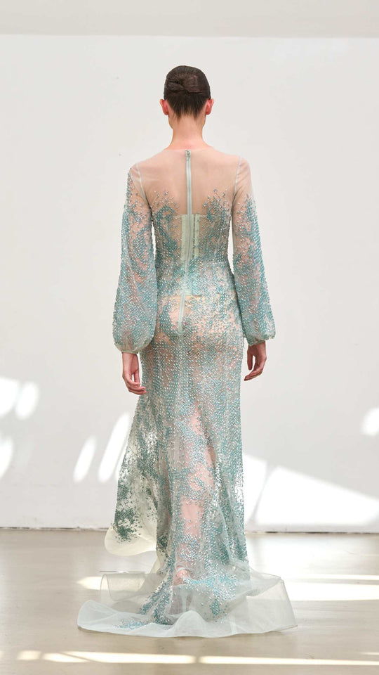 Back View
