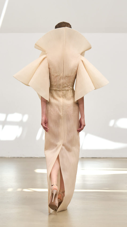 Back View