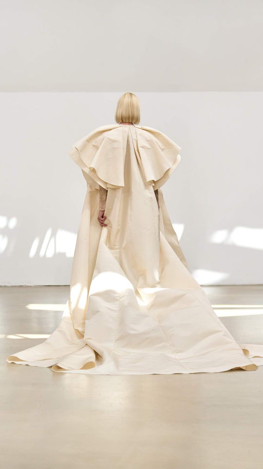 Back View