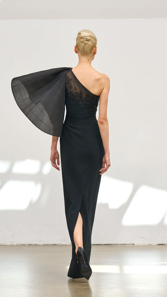 Back View