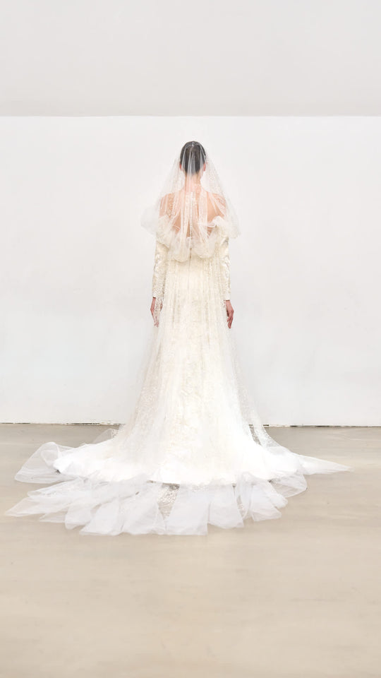 Back View