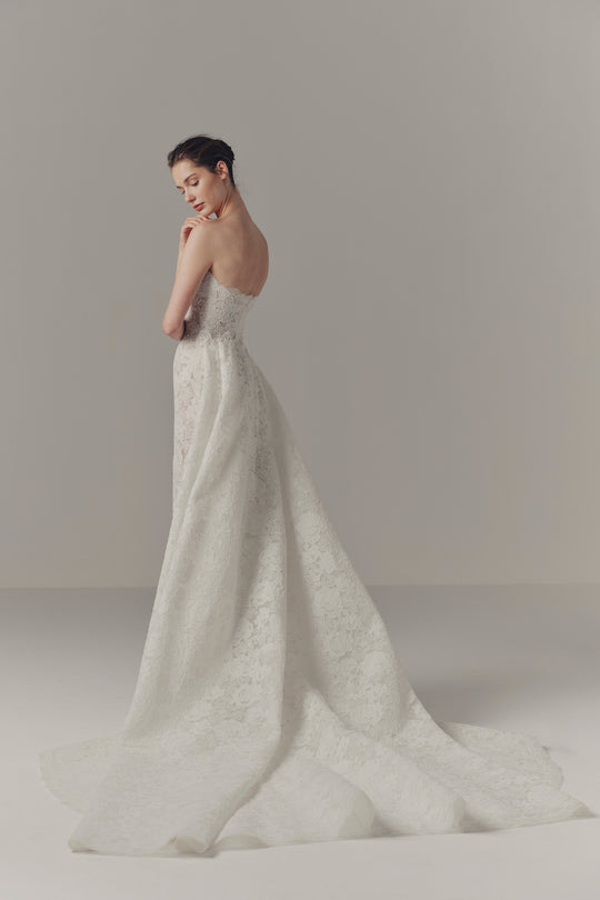 Back View