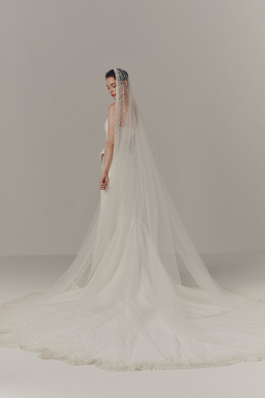 Back View