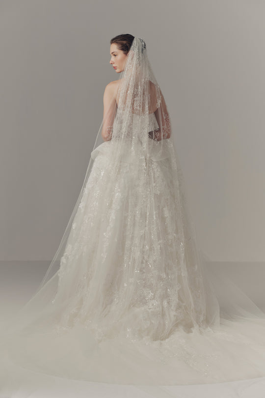 Back View