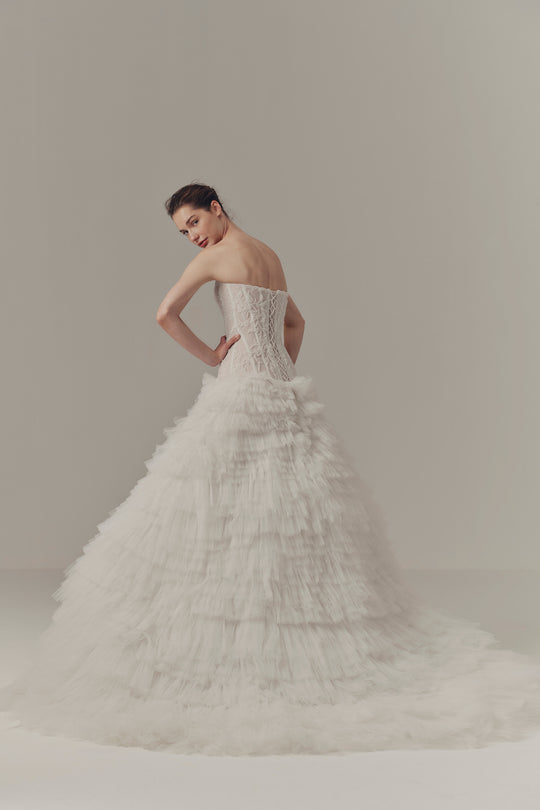 Back View